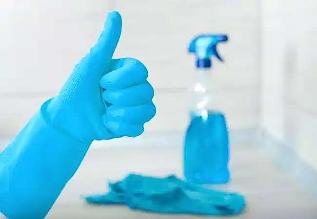 Profesyonel Ev Temizliği Gebze Temizlik Şirketleri